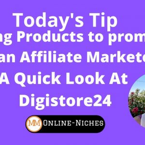 Affiliate Marketing: Where To Find Profitable Products To Promote - A Quick Look At Digistore24