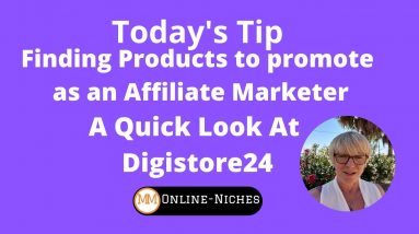 Affiliate Marketing: Where To Find Profitable Products To Promote - A Quick Look At Digistore24